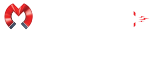 Magnetic Tattoo Removal by Linda Paradis Logo