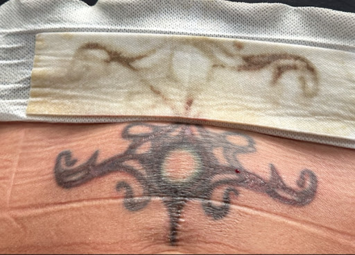 Photo from customer review